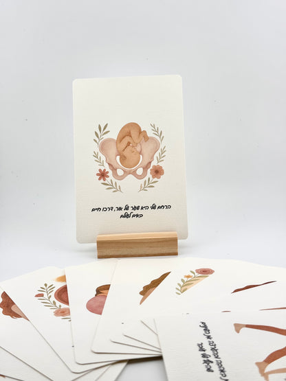 כרטיסיות הריון